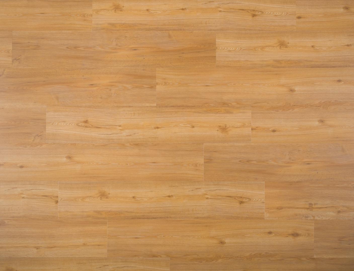 Dub medový